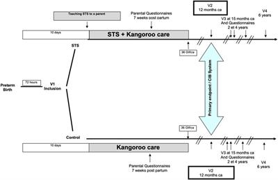 Protocol for a prospective multicenter longitudinal randomized controlled trial (CALIN) of sensory-tonic stimulation to foster parent child interactions and social cognition in very premature infants